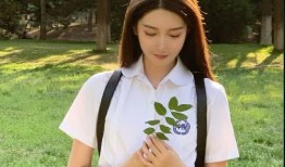 美竹出最新爆料,揭秘娱乐圈惊人内幕